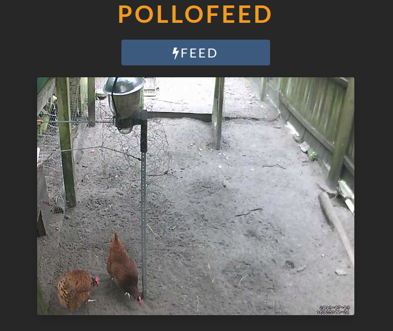pollofeed.png